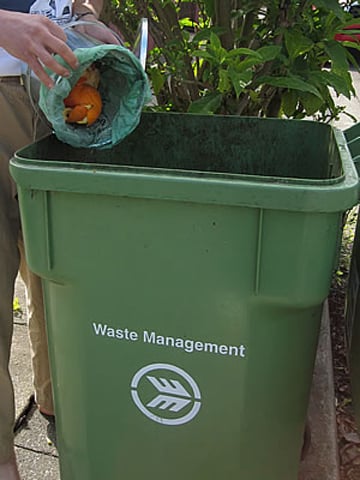 Byron dumps green-waste bin plan – Echonetdaily
