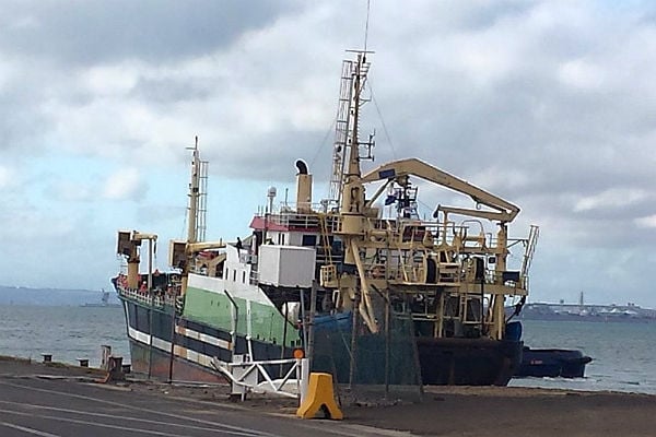 Factory trawler the Geelong Star has killed nine dolphins since April in Australian waters. Photo BayFM