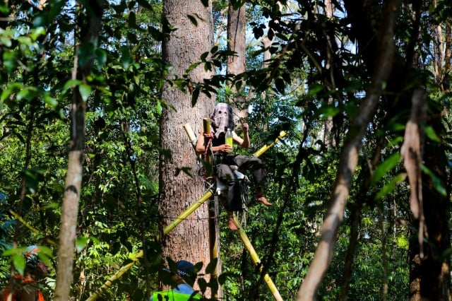 A recent protest against logging on a private property at Whian Whian. New state regulations will make land-clearing of native trees self-assessable. Photo Jeff Dawson