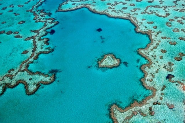 The Queensland government is demanding major changes to a Great Barrier Reef management plan. (File pic) 