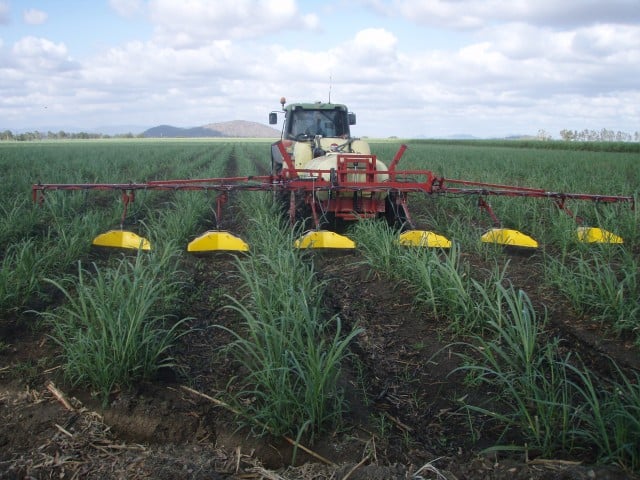 Spraying raised beds only – shielded sprayer is covering the furrows. Photo CSIRO