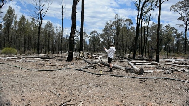 An area of the Pillaga Forest where a CSG wastewater spill occurred in 2011. Two years later, nothing has grown back. Photo David Saunders