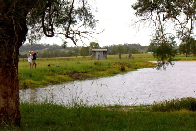 Don Knight's dam is now muddy and murky after bubbles emerged recently. Photo Marie Cameron (www.facebook.com/awomanwithacamera1) 