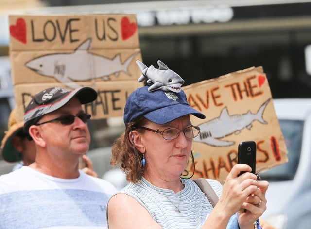 shark-protest3