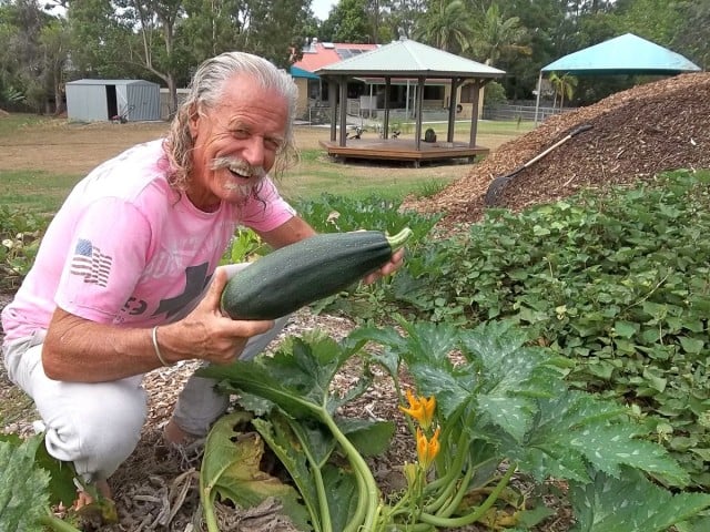Shara Gardens volunteer Ralph Johnson can't believe the size of his zucchini.