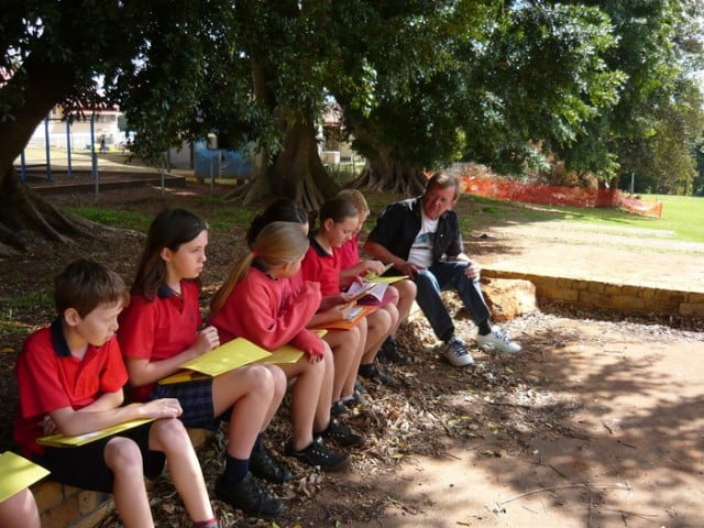 Students studying under some of the historic figs at Alstonville Public School. Photo Alstonville PS