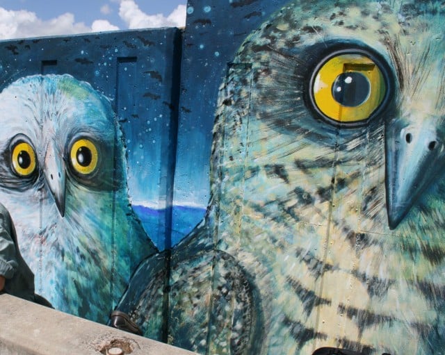 A section of the Treasures of the Tweed mural on the levee wall at Commercial Road, Murwillumbah. Photo Luis Feliu