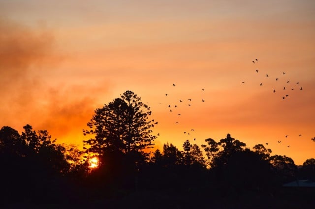 A smoky sunset signals bushfire season has almost begun. (picture Darren Coyne)