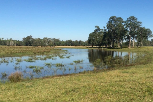 One of the wetlands in the Go with the Flow project once the program was completed. Photo supplied