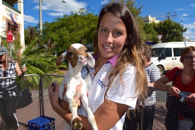 Mary may have had a little lamb but Tess O'Connor of Byron Bay had a little goat.