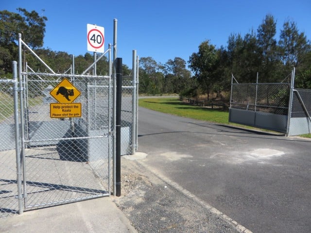 The koala/dog proof gate is always open during the day, allowing motor-vehicle hoons, unleashed dogs and other koala-impacting activities to take place there.