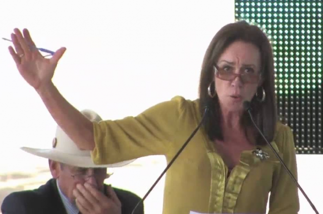 Ewingsdale developer Leigh Belbeck addressing a beef forum in 2010. She told Byron Shire Council last week not to delay her DA, as residents had urged. Photo: The Land 