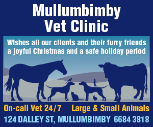 MullumbimbyVetClinic-447-300x250