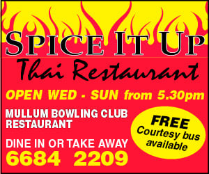SpiceItUpThaiRest-450-300x250