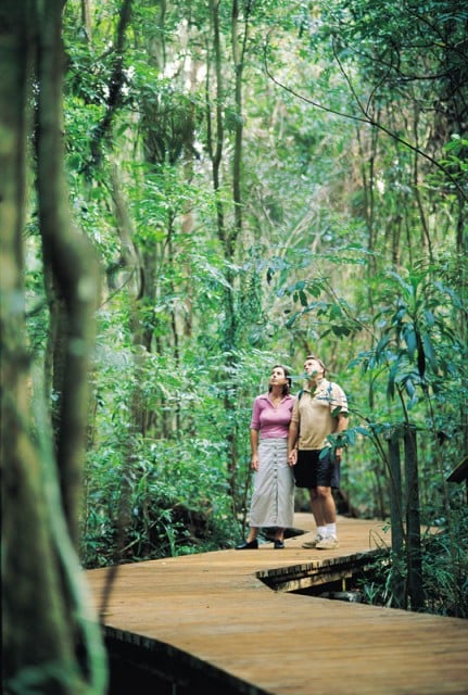 Things to do in Ballina - Victoria Park Nature Reserve