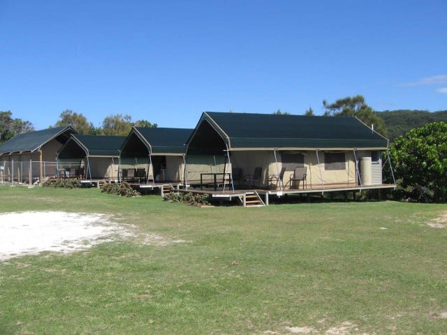 Tents similar to these at a Hastings Point caravan park will be used at The Terrace reserve in Brunswick Heads.