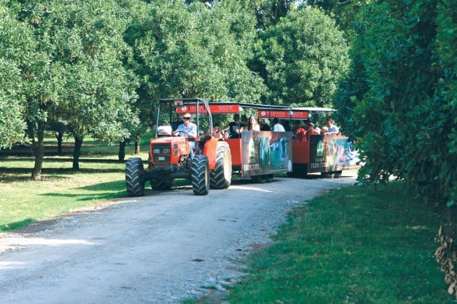 Things to do in Ballina -Tractor Tour