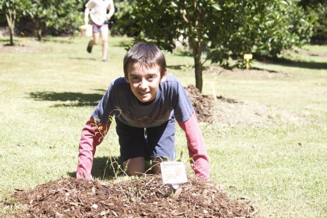 Eureka Public School student Ben Braggins plants a tree. (pic supplied)