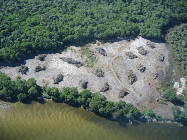 A section of the Iron Gates site that was cleared last year without approvals. (supplied)