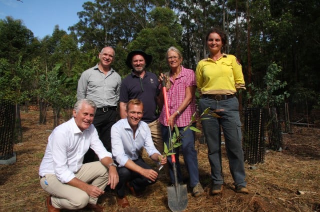 NSW environment minister Rob Stokes (lower centre), and Tweed MP Geoff Provest (front left) plant a seedling to launch the project to further revegetate Cudgen Nature Reserve, watched by project manager and research fellow at Southern Cross University Kevin Glencross, Tweed mayo Gary Bagnall, Friends of Cudgen Nature Reserve volunteer Rhonda James, and National Parks and Wildlife Service acting area manager Jenny Atkins. Photo supplied