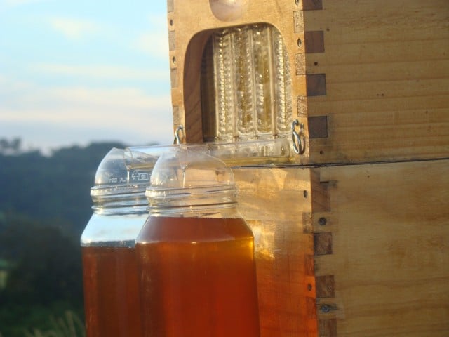 Extracting honey using the Flow hive system.