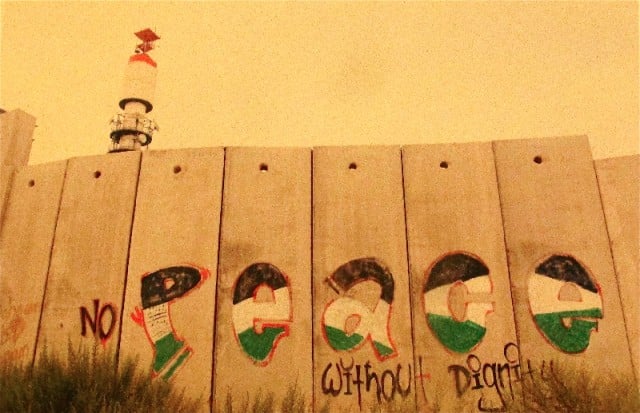 Occupied Palestine, August 2013. Photo Yani Haigh