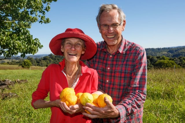 Christine and Douglas Kesteven prepare for the lemon harvest at Imogen's Farm at Whian Whian. Photo Tree Faerie.