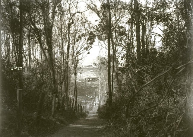 The track up Razorback looking towards the bottom of the hill in 1921. Photo courtesy Tweed River Regional Museum. Photo courtesy Tweed River Regional Museum. 