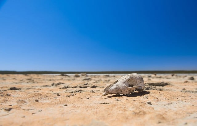 Weather forecasters are predicting that Australia is facing drought conditions as a result of an El Nino weather pattern. (File Pic)