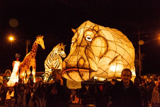 Lismore Lantern Parade 2015. Photo Tree Faerie – Cloudcatcher Media.