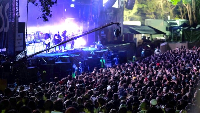 Splendour in the Grass 2015. Photo Jeff Dawson