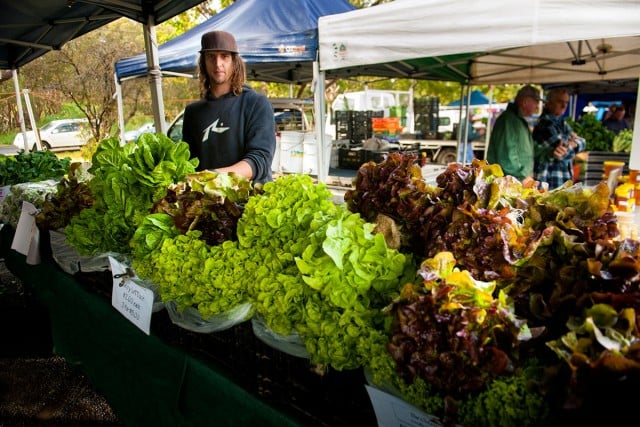 Fantastic fresh and local produce abounds at the Farmers Market.