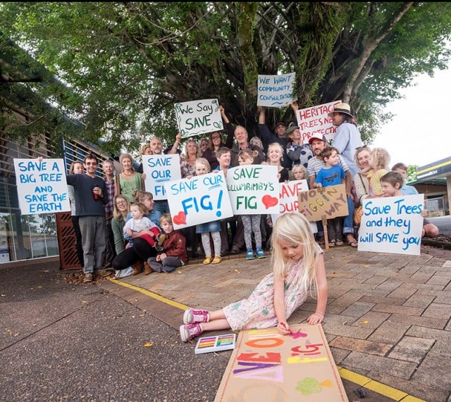 Protesters yesterday (October 30) underneath a spreading ficus benjamina that is earmarked to be axed by Byron Shire Council. Photo Jeff Dawson