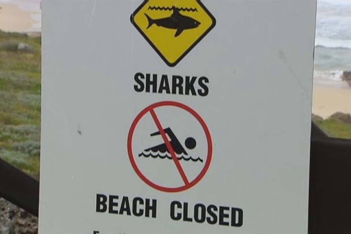 Shark bite trauma kits for everyone to use