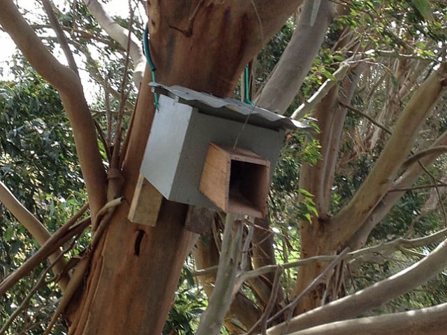 A handmade nesting box of a type recommended by Ecocitizen Australia. The federal government is to install 700 of varying shapes and sizes to replace the thousands of trees to be removed for the Broadwater to Coolgardie Pacific Highway duplication.