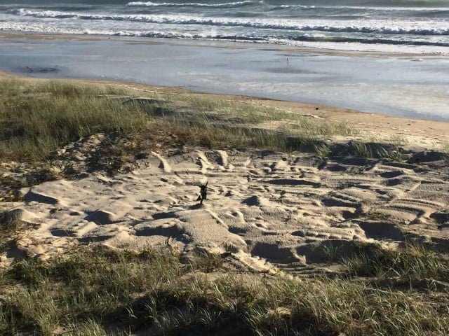 The site of the burial. Photo supplied