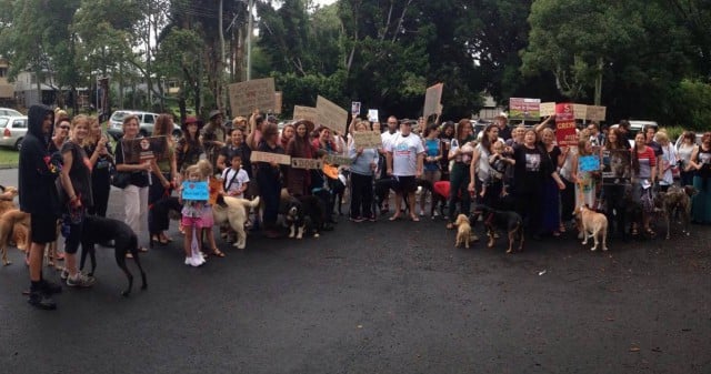 About one hundred people gathered in Lismore to protest against the greyhound racing industry. (supplied)