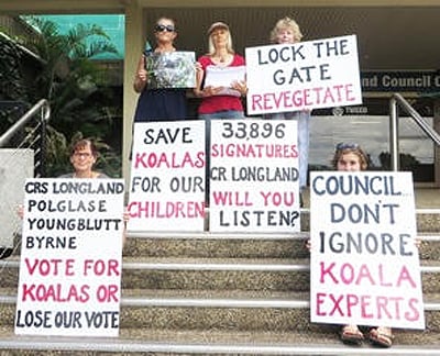 Koala campaigners outside tweed Shire Council chambers this week after presenting a petition with around 34,000 signatures calling on the Black Rocks sports field to be revegetated. Photo supplied