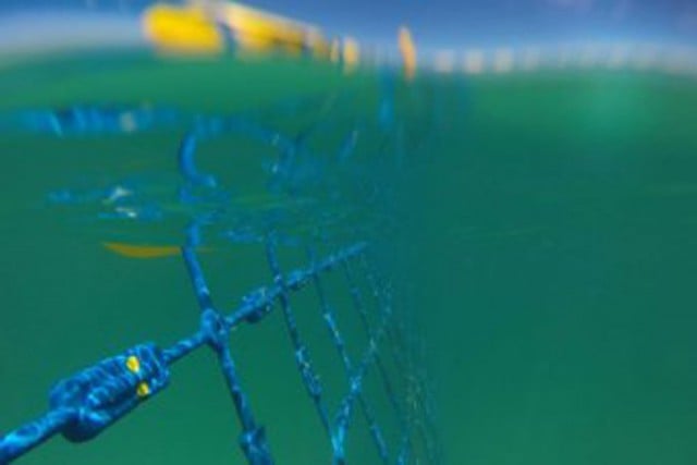 The eco shark barrier at Western Australia's Coogee Beach is similar to the one being installed at Lighthouse Beach. Photo Eco Shark Barriers 