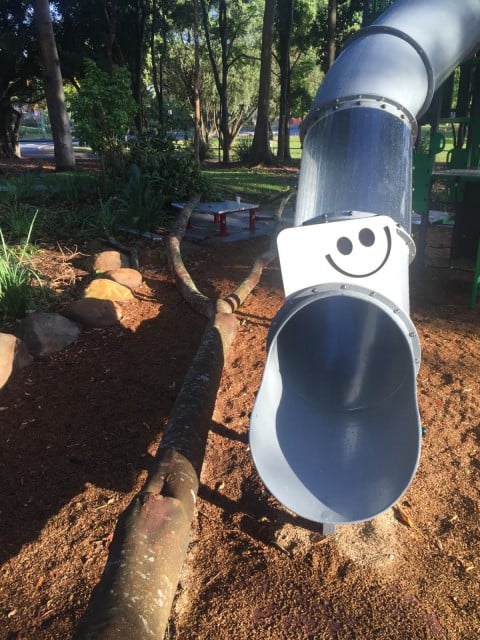 The rotted tree just missed smashing into equipment used by children in the upgraded park. Photo Gary Bagnall
