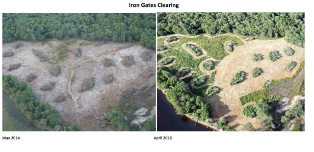Clearing in May, 2014, and in April, 2016, at the Iron Gates site at Evans Head. (supplied)