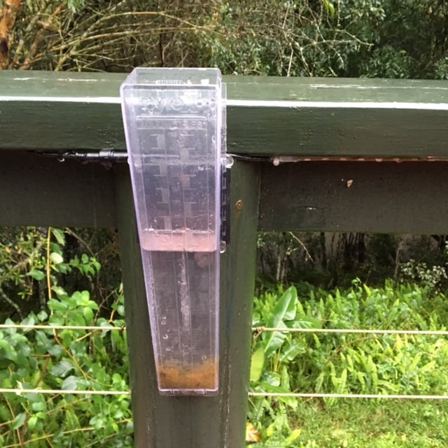 Recent rains have broken a record-breaking period of dry weather on the North Coast. Photo Chris Dobney