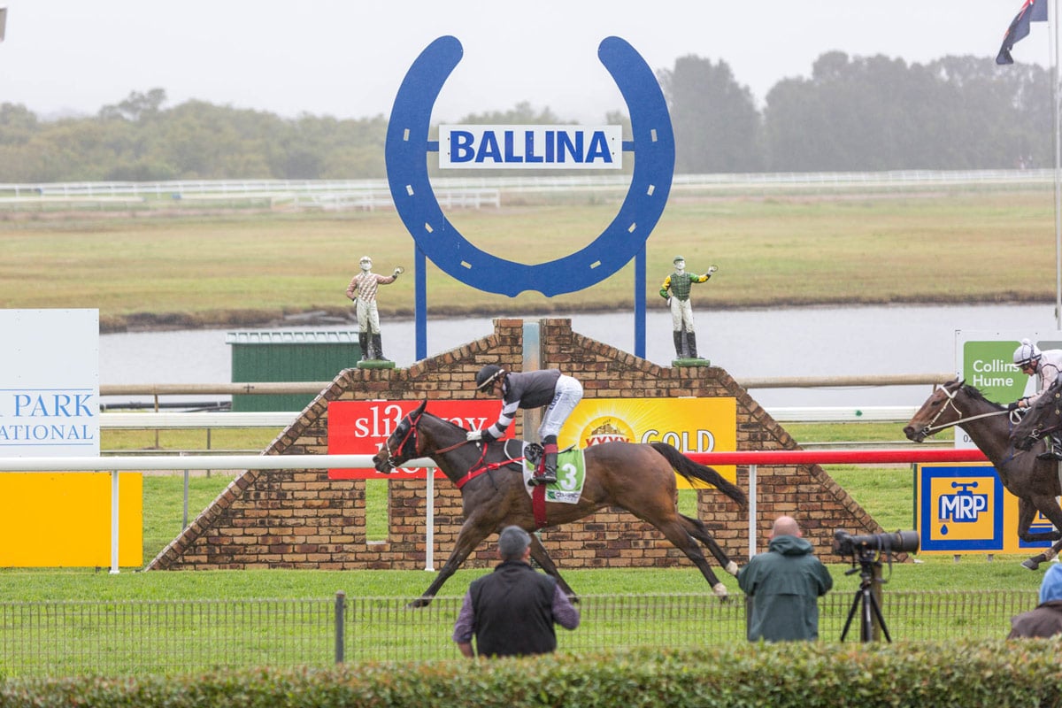 Full field for the 2016 Ballina Cup The Echo