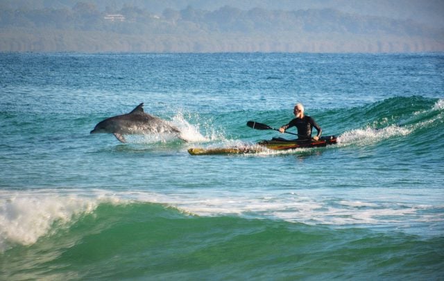 Dolphin and kayaker sharing a wave at Byron Bay by Sean O'Shea is a semi-finalist in the 2016 Moran Photographic Prize.