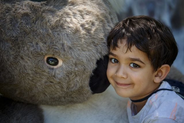 Sydney lad four-year-old Ethan was very happy to snuggle up to a giant koala at Sunay's Big Scrub event. Photo Tree Faerie.