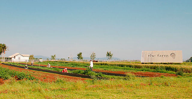 The Farm: Benevolent vegetable empire grows
