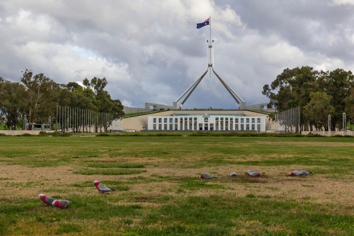 Direct flights from Ballina to Canberra starting soon The Echo Direct flights from Ballina to Canberra starting soon The Echo