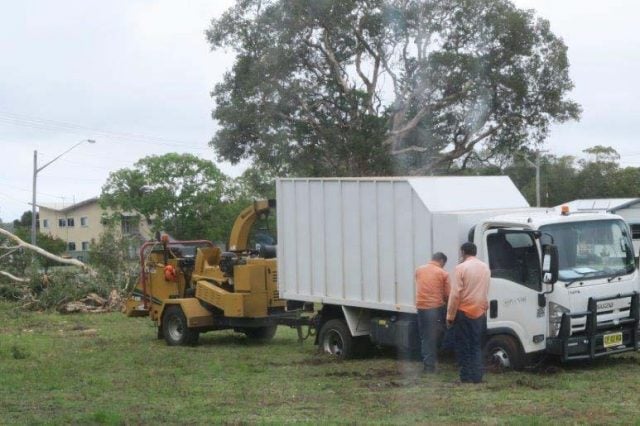 Paperbarks being mulched at the Old School site in Evans Head. (supplied)