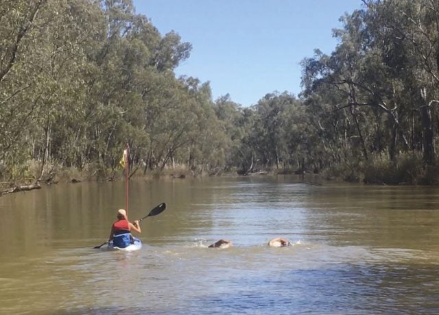 The 2,412km journey took the team through the Barmah State forest. Photo supplied. 