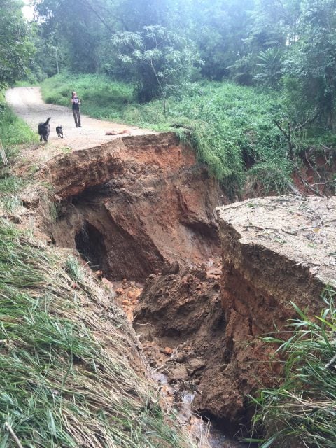 Manns Road at Rowlands Creek Road is the shortest road link between Byron and Tweed shires but now temporarily closed due to this massive landslip gap which opened up during the recent flood rain. Photo Will Matthews 
